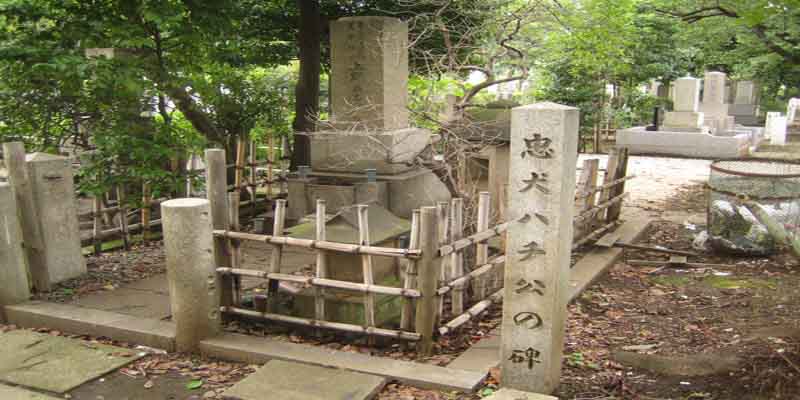 ➲ Der Friedhof Aoyama
